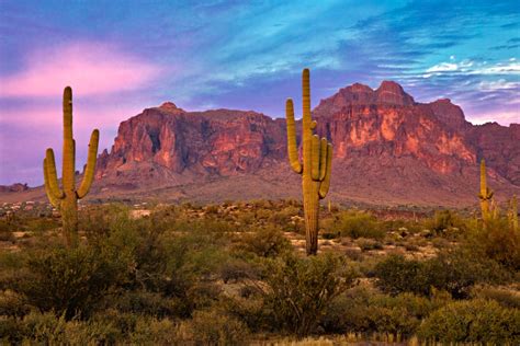 Things To Do In Phoenix A Quick Guide To The City