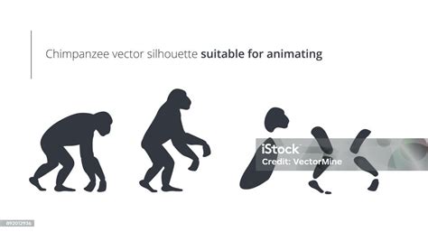 Chimpanzee Body Parts For Animating Stock Illustration Download Image
