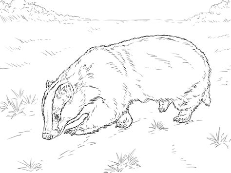 Free printable badger coloring pages. Badger Coloring Pages to download and print for free