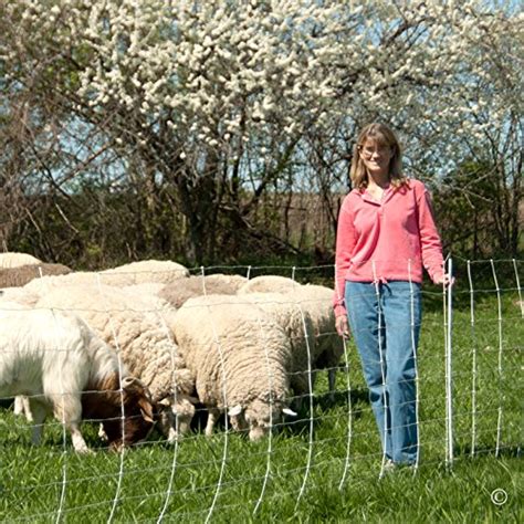 Electric fence for sheep and goat hinge lock farm fences are made of hot dipped zinc coated steel wire, offer high strength and tensile strength, provide safety fencing against fierce striking of cattle, horse or goats. Premier ElectroStop Goat & Sheep Electric Fence, 42″H x ...