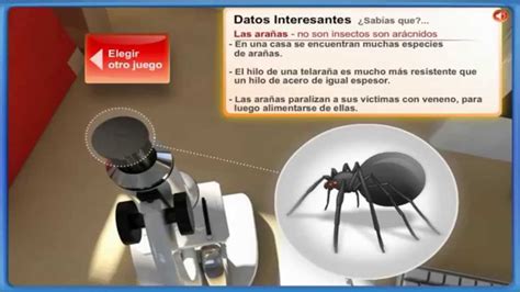 We did not find results for: Juegos De Discovery Kids Antiguos / programas antiguos de ...