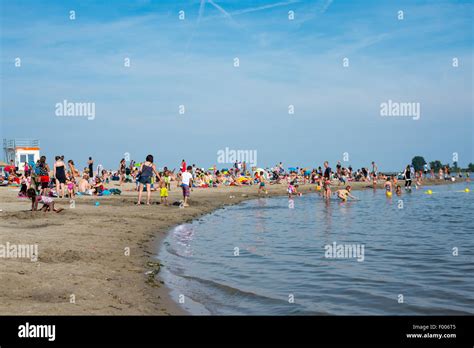 Blijburg Amsterdams Most Important City Beach A Sandy Man Made Stock