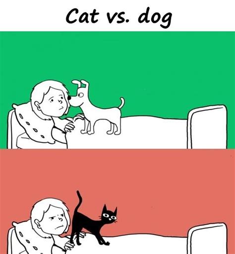 Cat Vs Dog 5169