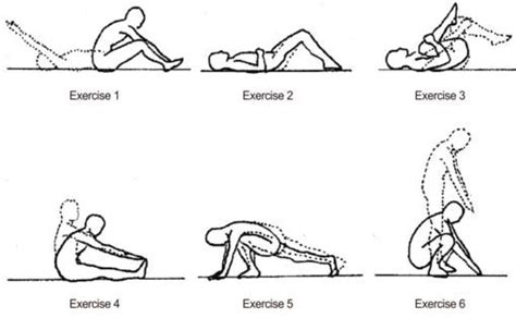 Image Result For Stretches For Lordosis Williams Flexion Exercises