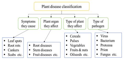 Plant Disease Classification Download Scientific Diagram