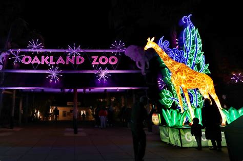 Oakland Zoo Closed Since Late December Will Open To Visitors Feb 3