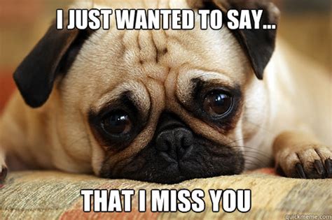 I Just Wanted To Say That I Miss You Sad Pug Quickmeme
