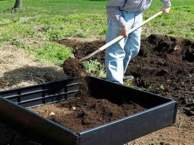 With the ease of efficiently controlling the soil on a raised bed, your potatoes will always have enough soil that encourages higher yields with massive tubers. 7 Ways To Grow Potatoes Having (A Variety of Growing ...