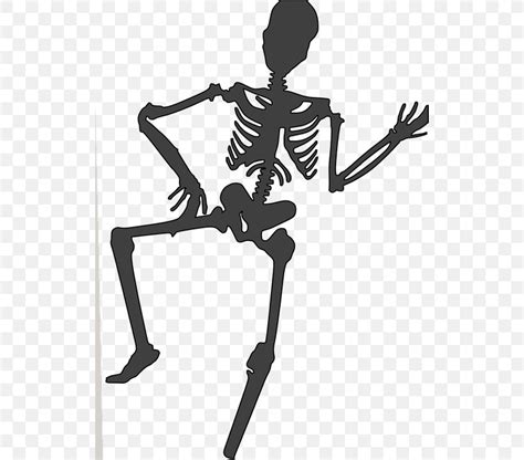 Human Skeleton Clip Art Png 522x720px Skeleton Black And White Cartoon Dance Drawing