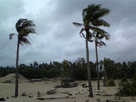 Pernyataan yang menunjukkan penyebab terjadinya musim kemarau terkait angin monsun yaitu. KT Blog: Ciri Iklim di Malaysia