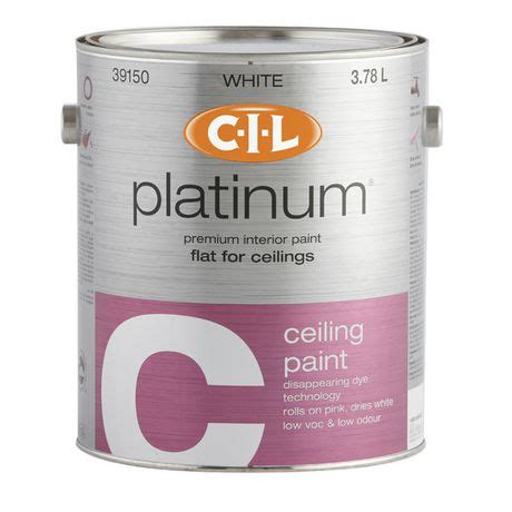 I love to see interiors where bold choices are made and they fit in so wonderfully well. CIL Platinum 2N1 Ceiling Paint | Walmart.ca