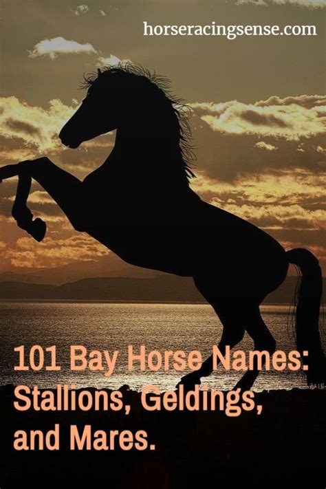 Names For Bay Horses Horse Namesbay Horseshorsesfamous Bay