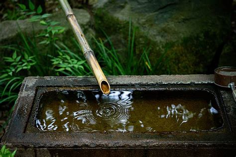 Bamboo Faucet Stock Photos Pictures And Royalty Free Images Istock