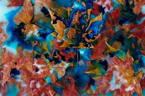 Fall Leaves Abstract Del Colaborador De Stocksy Jeff Wasserman
