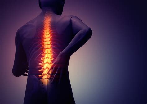 Chronic Low Back Pain Causes And Treatments Active Life Pain Center