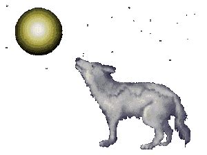 Wolf Wölfe Gif Animierte Gifs Cliparts Animationen