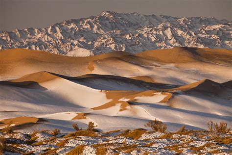 Khongor Sand Dunes In Winter Gobi Desert Photograph By Colin Monteath
