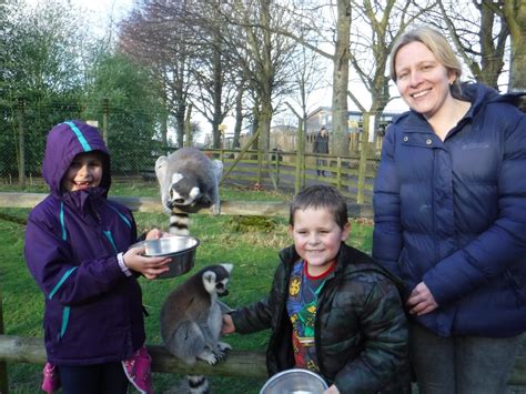 When Molly Met Molly Animal Experiences At Wingham Wildlife Park In Kent