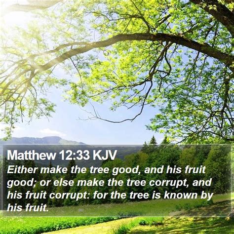 Matthew 1233 Kjv Either Make The Tree Good And His Fruit Good Or