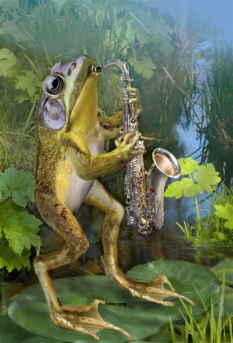 Frog Plying Saxophone Frog Art Frog Illustration Frog