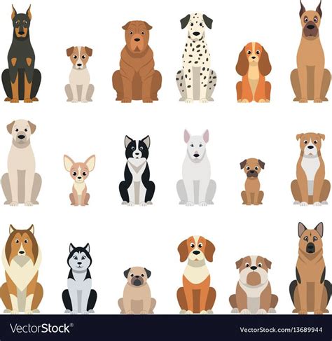 Vector Illustration Set Of Funny Purebred Dogs On A White Background