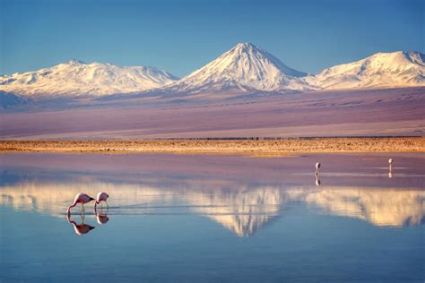 Everything You Need To Know About The Atacama Desert