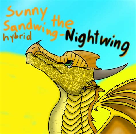 Sunny The Sandwing Nightwing Hybrid By Firestormthedragon0 On Deviantart