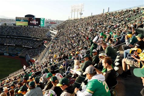 People Having Sex In Baseball Stadium