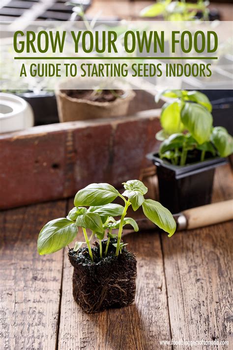 A flower pot or planter also works if preferred; Grow Your Own Food: Starting Seeds Indoors | Food Bloggers ...