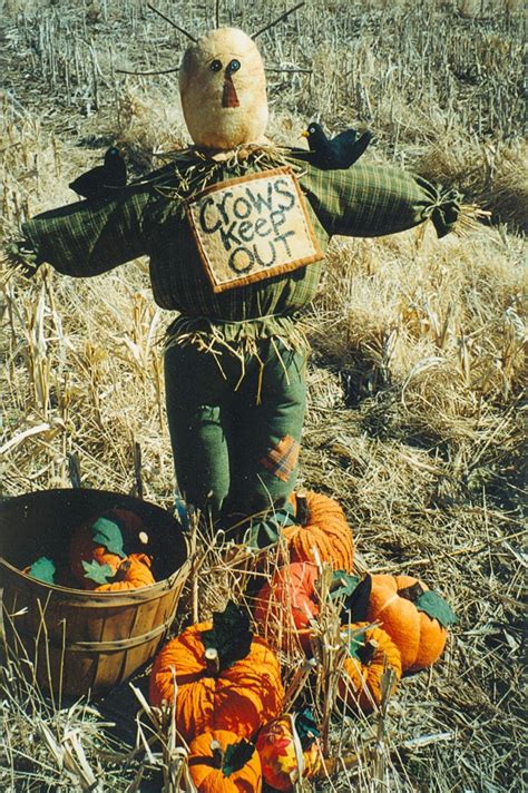 Vogelverschrikkers On Pinterest Scarecrows Fall Scarecrows And