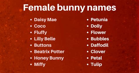 450 Adorably Unique Bunny Names Youll Love