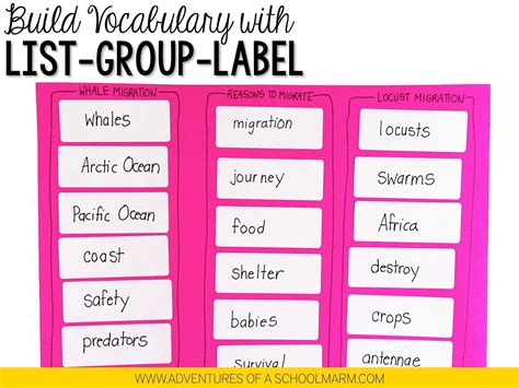 The List Group Label Strategy Vocabulary Strategies Critical