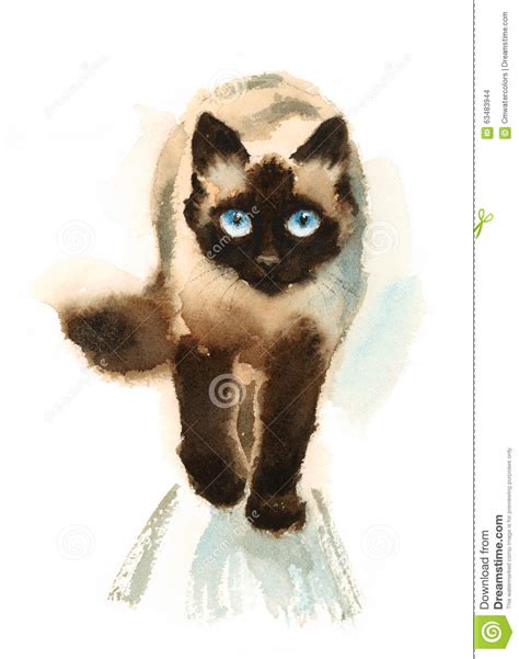 Walking Siamese Cat Watercolor Animals Pets Illustration Hand Painted Stock Illustration Image