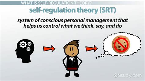 Self Regulation Theory Overview Components And Strategies Lesson