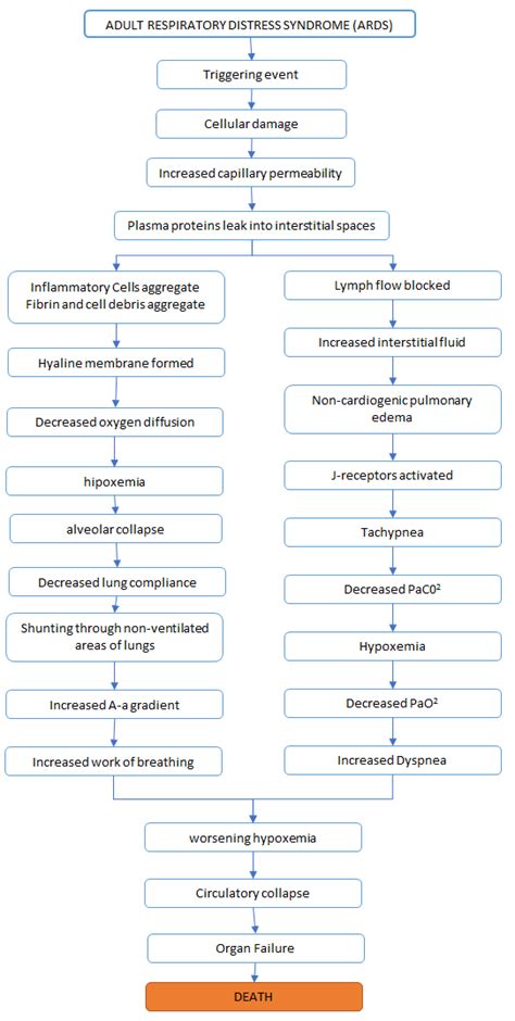 Nursing Care Plan For Acute Respiratory Distress Syndrome Ards Images