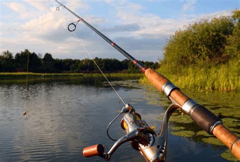 Stock images by iofoto 13 / 319 isolated fishing rod pictures by tribalium 29 / 1,791 fishing pole stock photo by penywise 4 / 99 fishing pole with hook and fish picture by tigatelu 6 / 290 fishing salmon stock image by rivansyam 59 / 3,507 fishing pole stock image by cteconsulting 5 / 370 isolated fishing pole stock photography by prill 1 / 10. Different Types Of Fishing RODS/POLES & Their Uses and Benefits