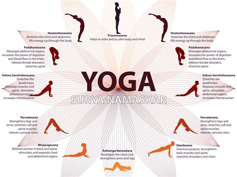 All Types Of Yoga Asanas And Their Benefits