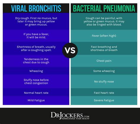 Bronchitis Causes Symptoms And Support Strategies DrJockers Com