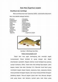 Cara Bergeraknya Ikan