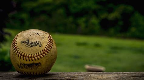 Free Picture Baseball Ball Sport
