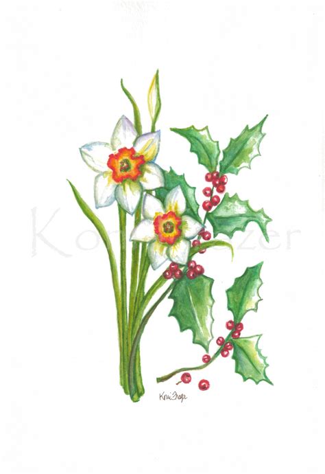 Narcissus And Holly December Birthday Flower Original Etsy