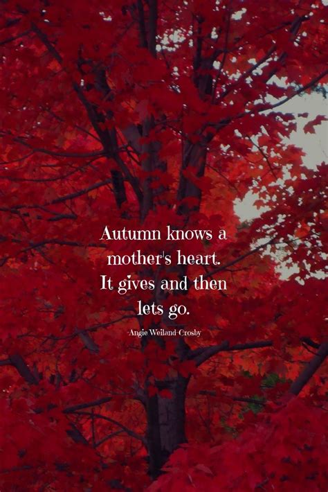 We did not find results for: 45+ Autumn Quotes & Fall Quotes and Captions to Enchant and Deepen the Soul! [Updated for 2020 ...