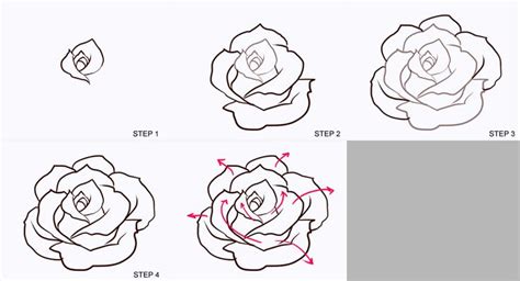 How To Draw A Rose Step By Step For Beginners At A Step By Step On