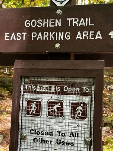 Best Walking Trails In Green Mountain National Forest Alltrails
