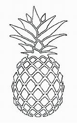 Pineapple Coloring Pages Printable Cute Drawing Template sketch template
