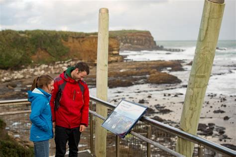 Things To Do In The Catlins Southland New Zealand