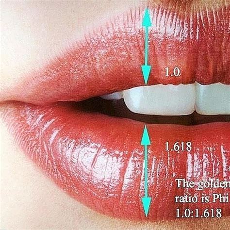 did you know well formed lips have a size ratio of 1 upper to 1 6 lower our providers are