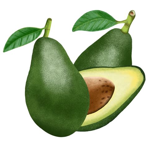 Avocado Fruit Illustration 16779228 Png