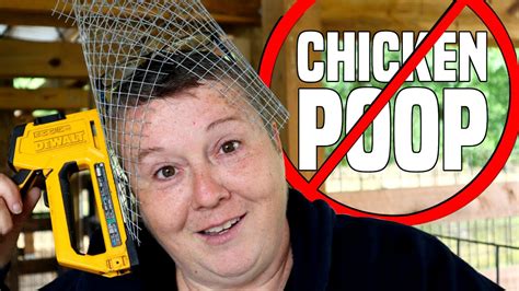 No More Raining Chicken Poop • Problem Fixed 🚫🐔💩 Youtube