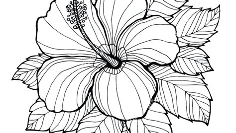 We have collected 40+ flower coloring page for adults images of various designs for you to color. Realistic Coloring Pages For Adults at GetColorings.com ...